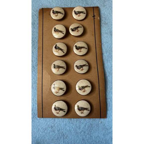 Vintage Set Of 12 Satsuma Buttons On The Original Card - Picture 3 of 6